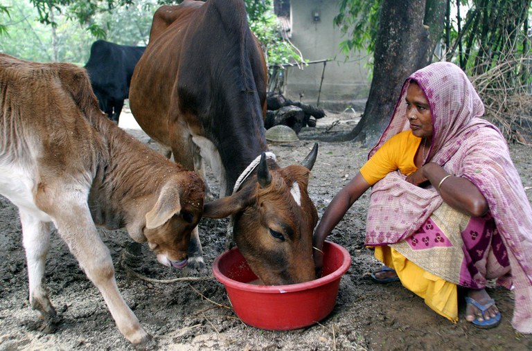 MICROCREDIT.JPG MICROCREDIT.JPG