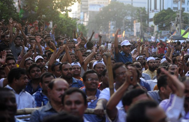 BD-bnp BD-bnp