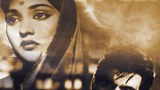 BD-culture