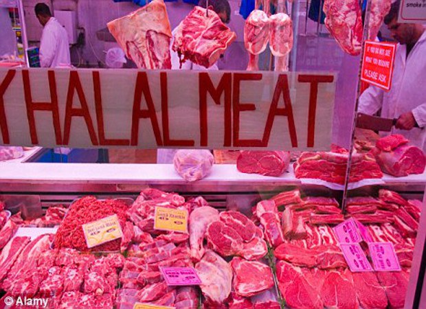 BD-halal BD-halal