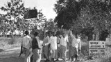 BD-jessore