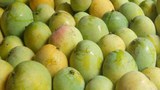 BD-mango
