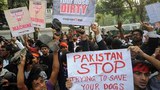 BD-protest