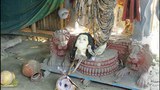 BD-puja