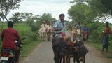 20161007-BD-IND-Border1000.jpg