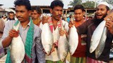 fish-620.jpg