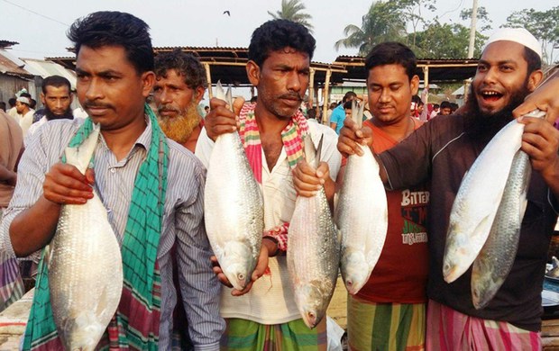 fish-620.jpg fish-620.jpg