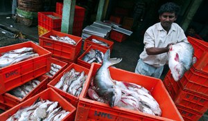 Ind-fishing Ind-fishing