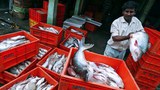 Ind-fishing