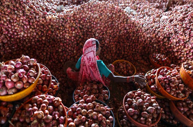 Ind-onion Ind-onion