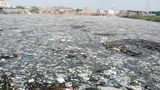 Tanary-Dhaka620.jpg