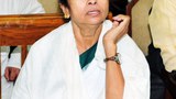 BD-Mamata-620-marc2015