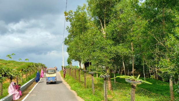 ভারত-মিয়ানমার দুর্গম সীমান্ত নজরদারিতে ৩১৭ কিলোমিটার সড়ক