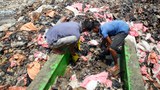 বাংলাদেশের চামড়াজাত পণ্যের বাজার চীনের কাছে জিম্মি