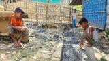 ডেঙ্গুজ্বর: সংক্রমণ বাড়ছে ঘনবসতিপূর্ণ রোহিঙ্গা শিবিরে