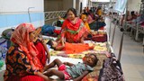 এশিয়ায় বাড়ছে ডেঙ্গু আক্রান্তের সংখ্যা, বিশ্বব্যাপী সংক্রমণের আশঙ্কা