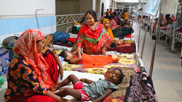 এশিয়ায় বাড়ছে ডেঙ্গু আক্রান্তের সংখ্যা, বিশ্বব্যাপী সংক্রমণের আশঙ্কা