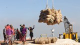 ডলার সংকট: সমস্যায় নিত্যপণ্য আমদানি