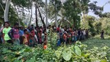 সীমান্ত হত্যা শূন্য করার ঘোষণা দেওয়ার দিনই বিএসএফের গুলিতে কিশোর নিহত