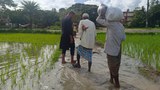 রাখাইনে গোলাগুলি: বাংলাদেশ সীমান্তের অধিবাসীরা আতঙ্কে