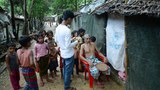 শরণার্থী প্রত্যাবর্তনের প্রক্রিয়াকে স্থগিত করার আহবান জানিয়েছে মানবাধিকার সংস্থাগুলো 