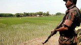 সীমান্ত এলাকায় টহল বাড়িয়েছে বিজিবি।
