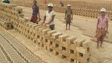 child-labour620.jpg