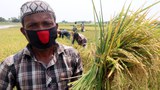 200422_Food_Secuirty-Bangla_1000.JPG