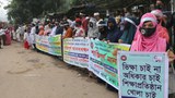 অক্টোবরের মাঝামাঝি খুলবে বিশ্ববিদ্যালয়গুলো