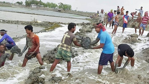 ঘূর্ণিঝড় ইয়াস: বাংলাদেশে তিন ও পশ্চিমবঙ্গে একজনের মৃত্যু ঘূর্ণিঝড় ইয়াস: বাংলাদেশে তিন ও পশ্চিমবঙ্গে একজনের মৃত্যু