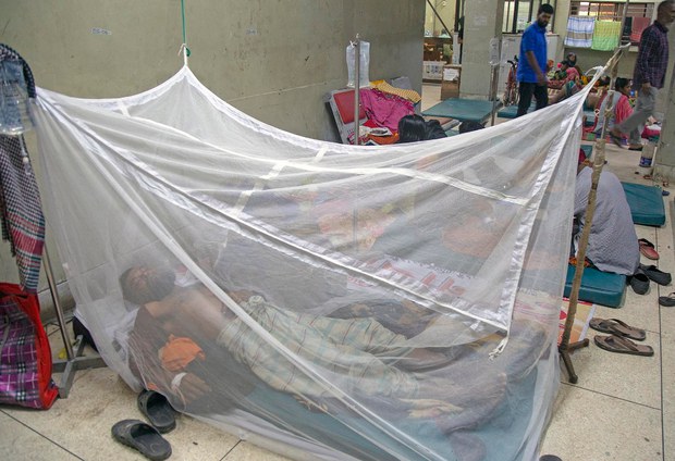 190801_DENGUE_1000.jpg 190801_DENGUE_1000.jpg