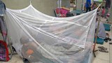 190801_DENGUE_1000.jpg