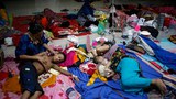 190805_Dengue_1000.JPG