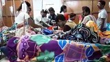 171121-BD-dengue-620.jpg