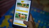 200723_Online_Cattle_Market_1000.jpg
