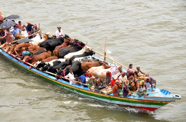 BD-Eid-1000.jpg BD-Eid-1000.jpg