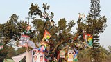 180816_Political_Polarization_1000.jpg