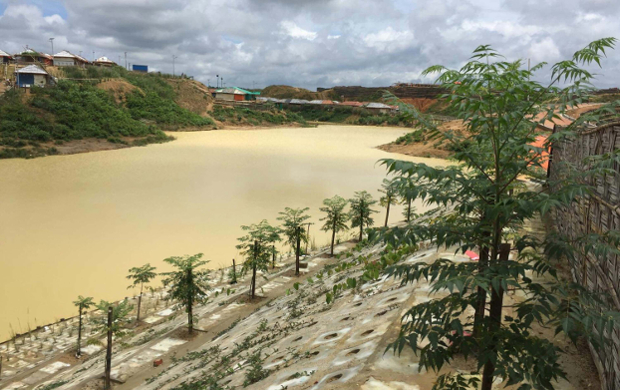 কক্সবাজারের উখিয়ার মধুরছড়া এলাকার রোহিঙ্গা শিবিরে পাহাড় ধস ঠেকাতে বিভিন্ন সংস্থার উদ্যেগে করা বনায়ন। ১ আগস্ট ২০১৯। 