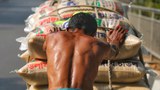 তাপে পুড়ছে বাংলাদেশ