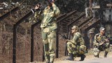ভারত-বাংলাদেশ সীমান্তে বিএসএফএর পাহারা।