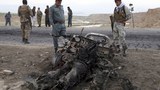 190730_delowar_1000.jpg