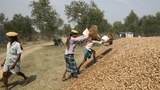 200226_rohingya_relocation_1000.JPG