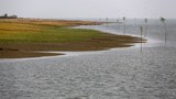 190325_BHAShANCHAR_1000.JPG