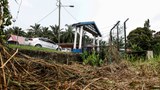 মালয়েশিয়া: আটককেন্দ্র থেকে পালিয়ে গাড়ি চাপায় ছয় রোহিঙ্গার মৃত্যু
