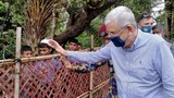 আন্তর্জাতিক সম্প্রদায় রোহিঙ্গাদের বিষয়ে হাল ছাড়েনি: জাতিসংঘ প্রতিনিধি