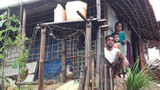 ‘কারাদ্বীপ’ ভাসানচরে যেতে রোহিঙ্গাদের চাপ দেয়ার অভিযোগ মানবাধিকার সংস্থার