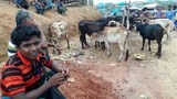 180821_Rohingya_eid_1000.jpg