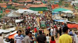 180824-BD-Rohingya-rightsgroups_1000.jpg