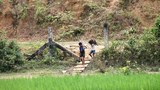 জ্বালানি কাঠ সংগ্রহ করে নো ম্যানস ল্যান্ড পার হয়ে বাংলাদেশে ফিরে আসছে দুটি রোহিঙ্গা শিশু।