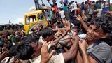 rohingya1000